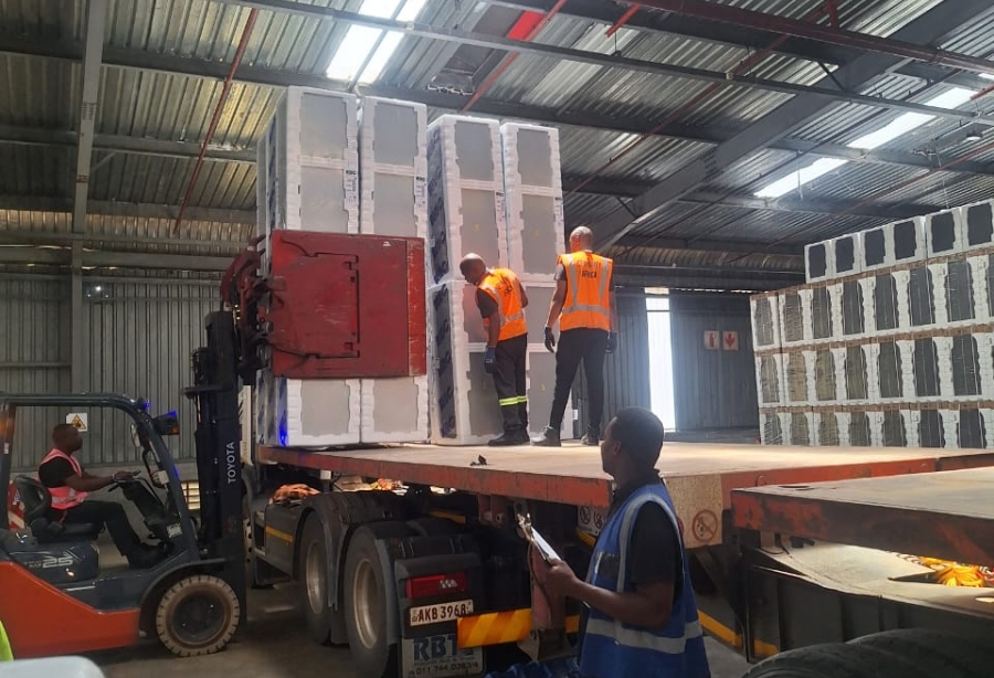 warehouse operations management services